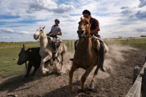 Gianluca Colonnese, Sol de Mayo - El gaucho y la ganaderìa