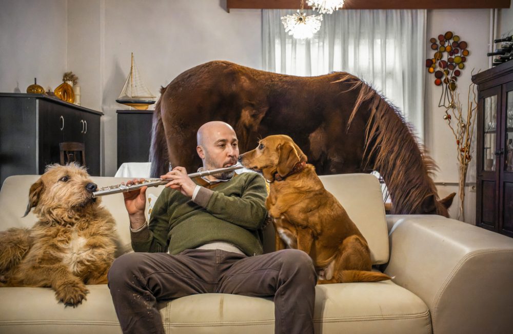 Mert Akkök plays the flute for his beloved animals in his living room, a place of solace and comfort for the 70+ strays he has welcomed and rescued on his farm just south of Istanbul. Joining the growing number of city dwellers moving to the countryside, Mert's noble purpose is to care for all of his four-legged friends. His blind horse, Reyhan, is drawn to the mellow sounds of the music and has even damaged Mert's saxophone in her enthusiasm. Through it all, Mert's door remains open, providing his furry family with a safe haven and the assurance of a good future. “We enjoy each other's company,” he says. “They're like my kids now, and would only give them to decent and good people who can take very good care of them.”