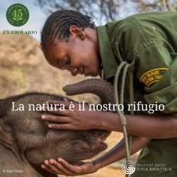 La natura è il nostro rifugio_invito mostra