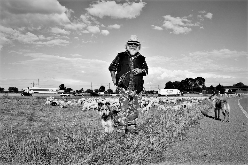 Alessandro Forni<br src=