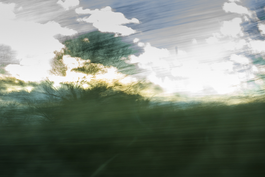 Davide Ponzani<br src=