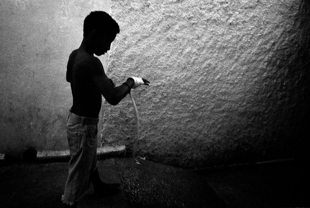 Giuseppe Cardoni<br src=