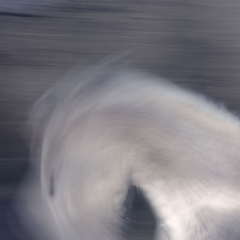 Raffaella Castagnoli<br src=