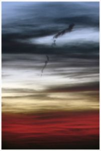 Alessandra Bosco<br src=