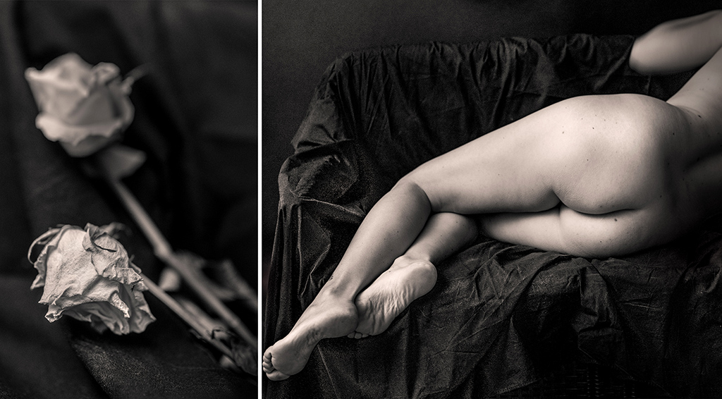 Erica Campanella<br src=