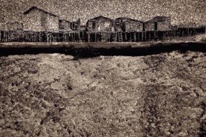 Giovanni Dal Cin<br src=