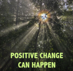 Schermata 2019-09-16 alle 23.19.52