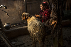 Monika Bulaj_Broken Songlines_LR_03