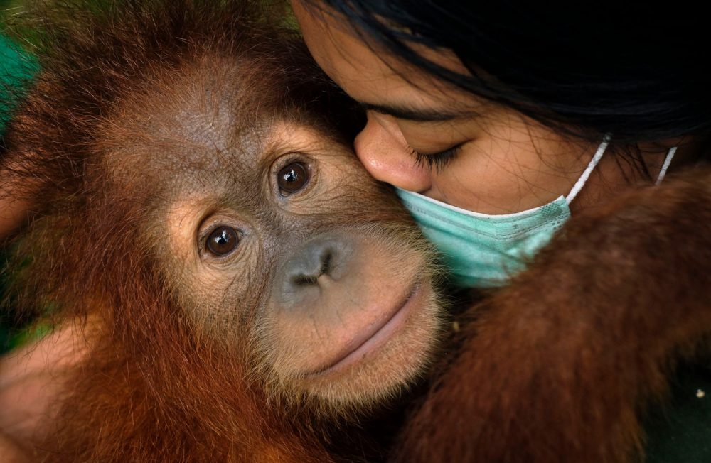 Alain Schroeder Alain Schroeder