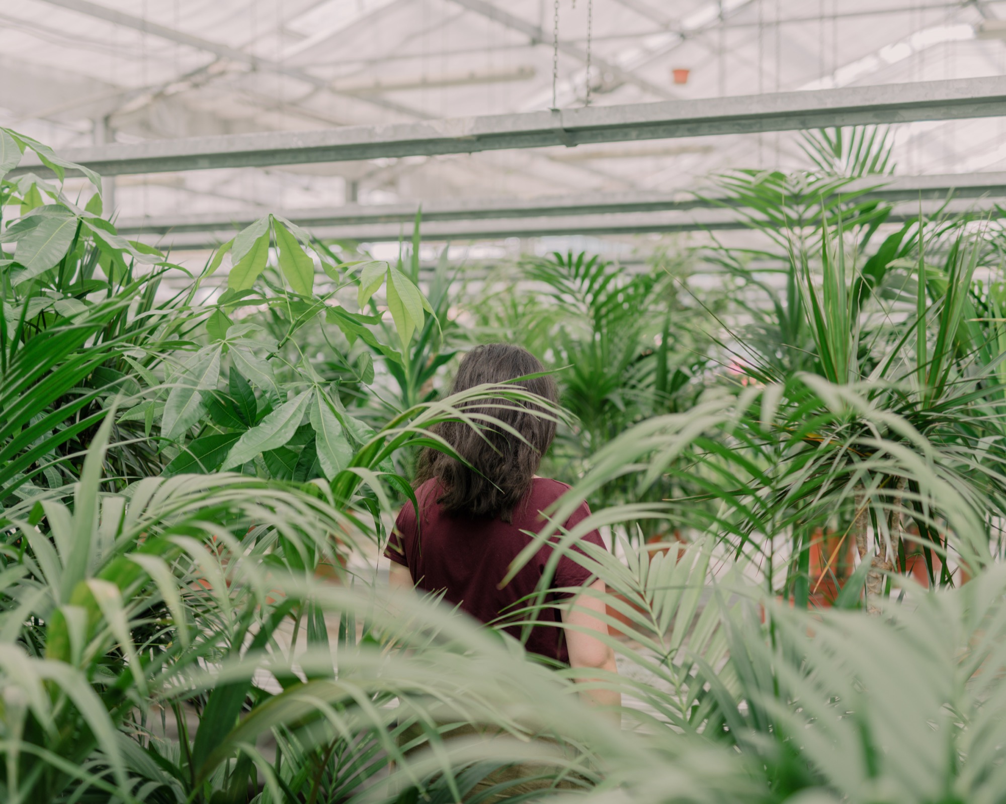 ©Francesco Andreoli