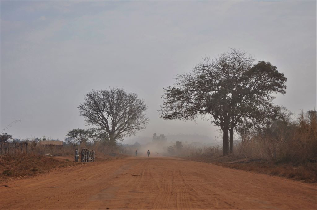 Domenica Pinto - off