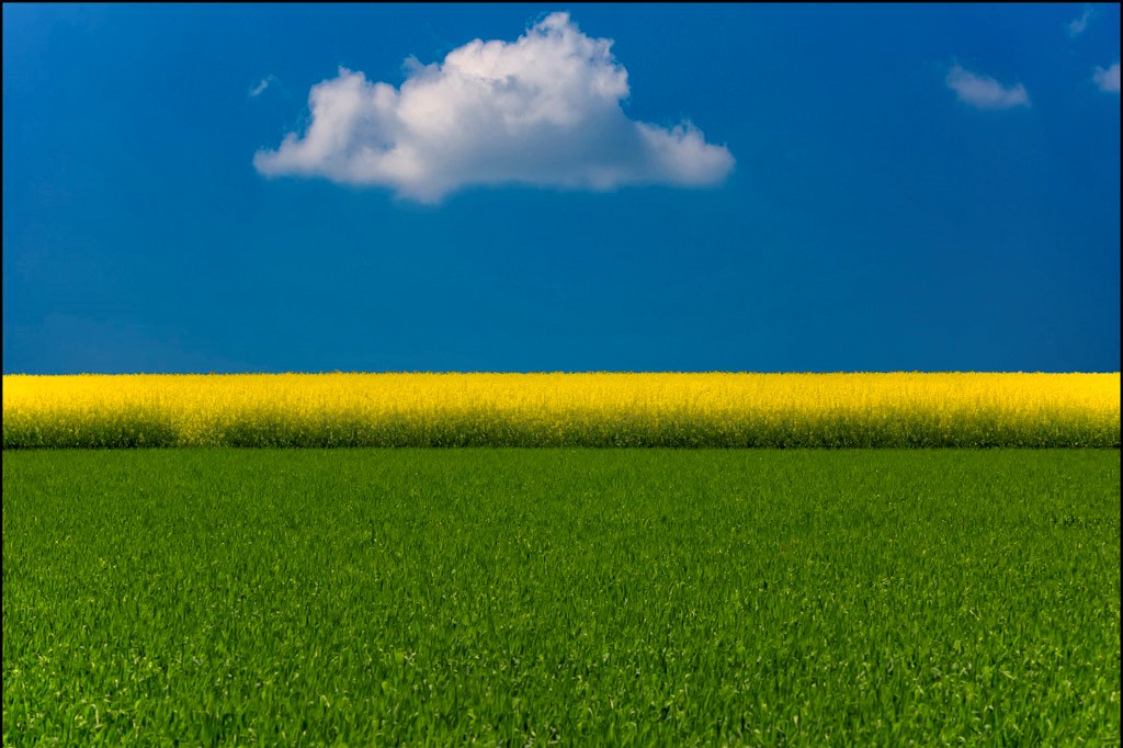 Renato_Caloni_06 (1)