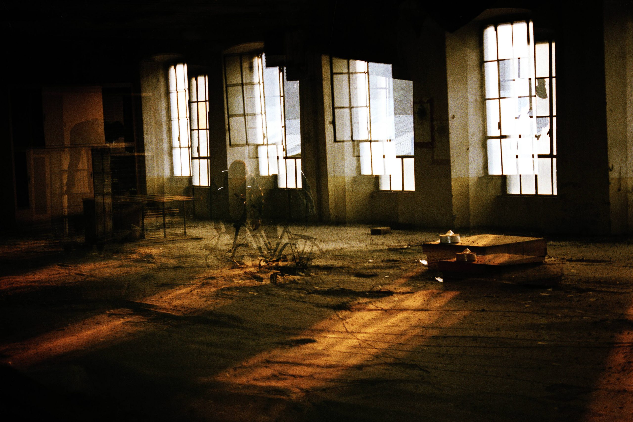 © Alessandra Di Consoli