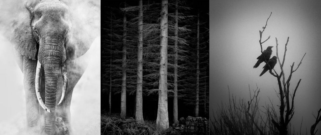 Progetto senza titolo