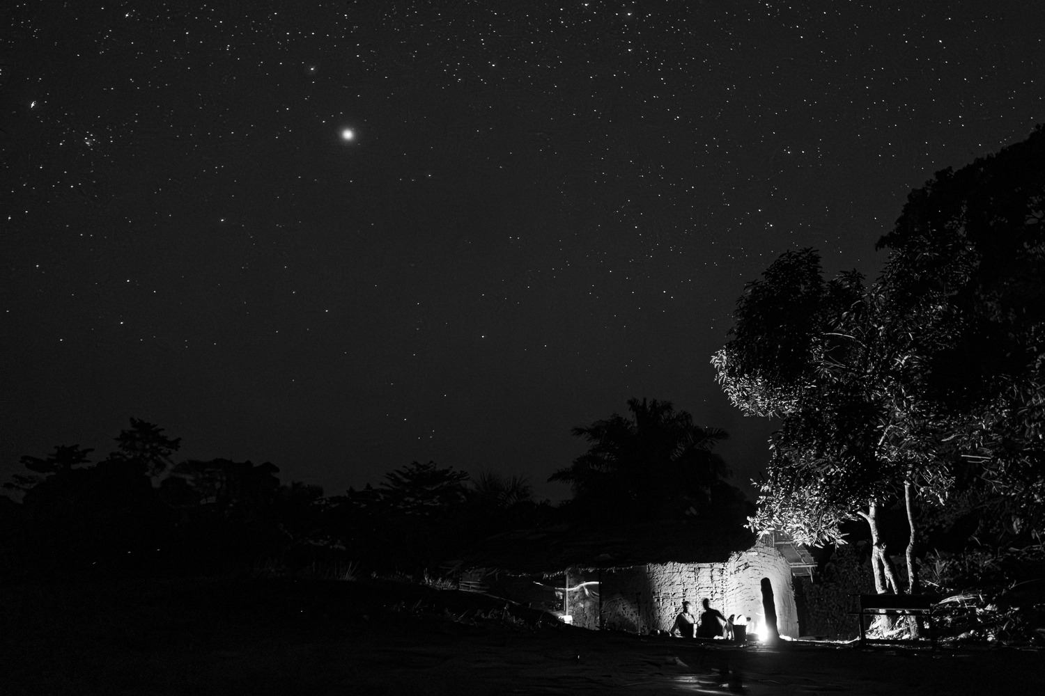 The night in the forest