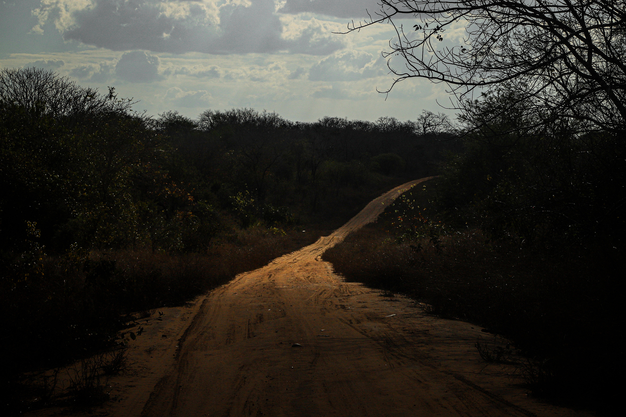 Alta risoluzione_formato originale_02 (1)