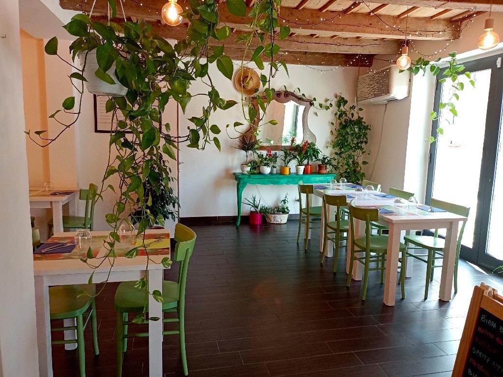 Green Corner Green Corner