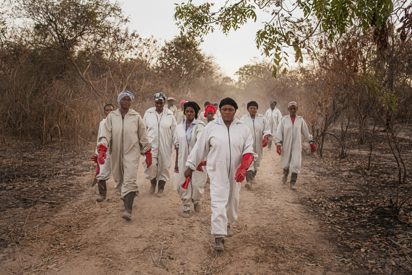 14 - 014_NyodeemaFoundation - 6ba02275-9172-4c06-bdd4-3c48fc0195a0