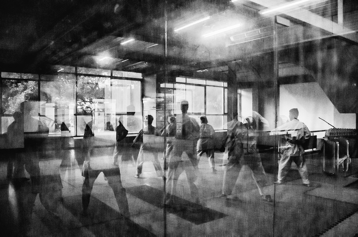 16 - We Live to Fight 16 - cfe76927-82a1-455f-9029-22c5474eb7da