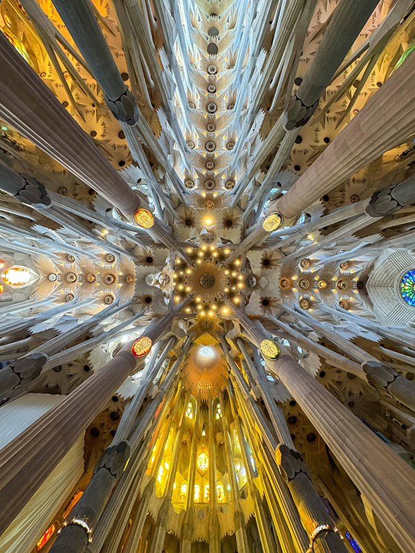 109_ALBERTO DEDE' (1)