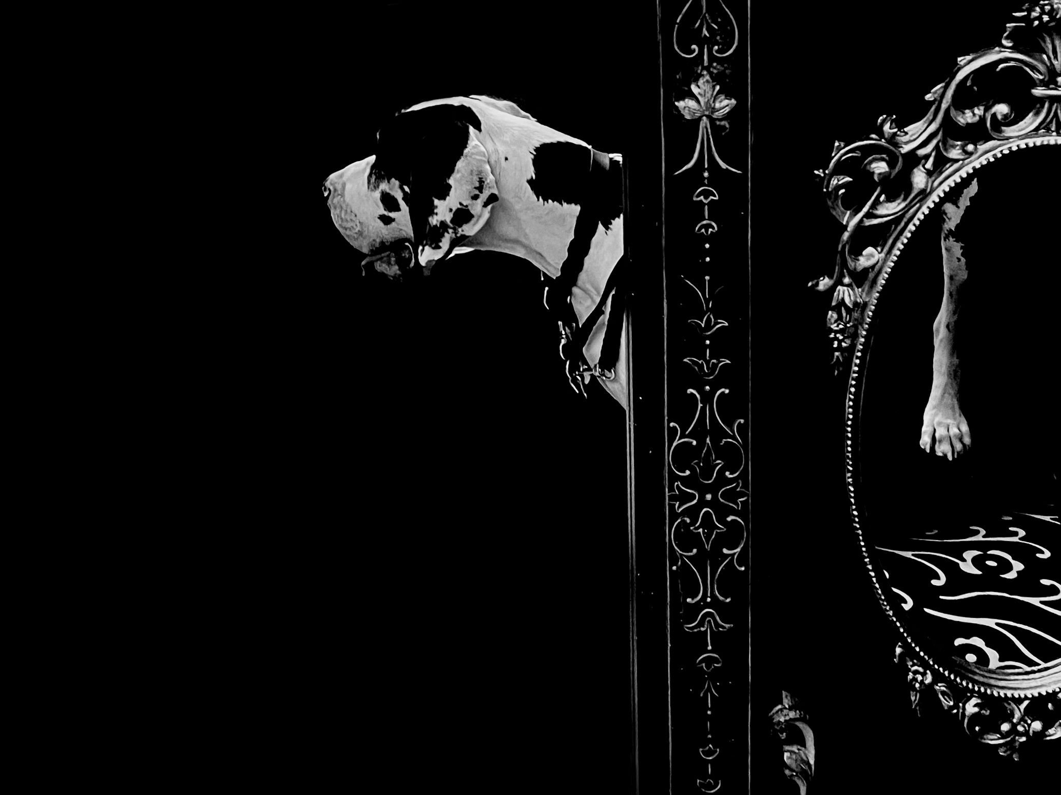 31_LAURA_GIORGIA_BORACCHI