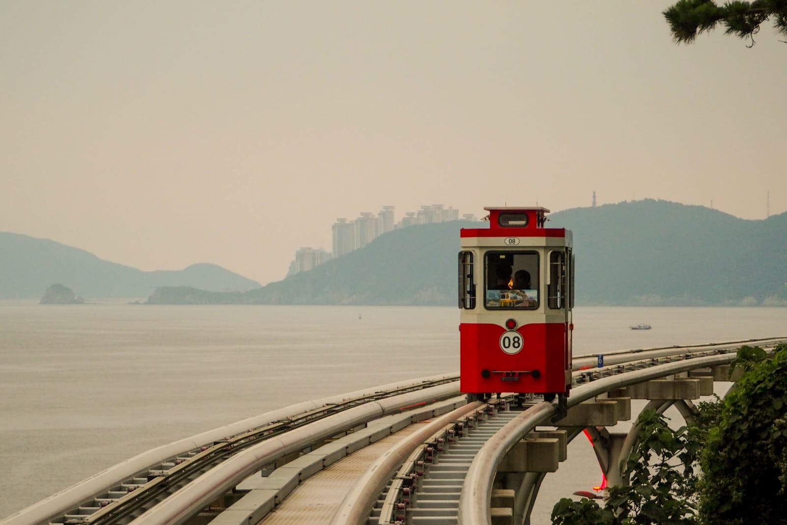 50_MATTEO_PELLEGRINI_1