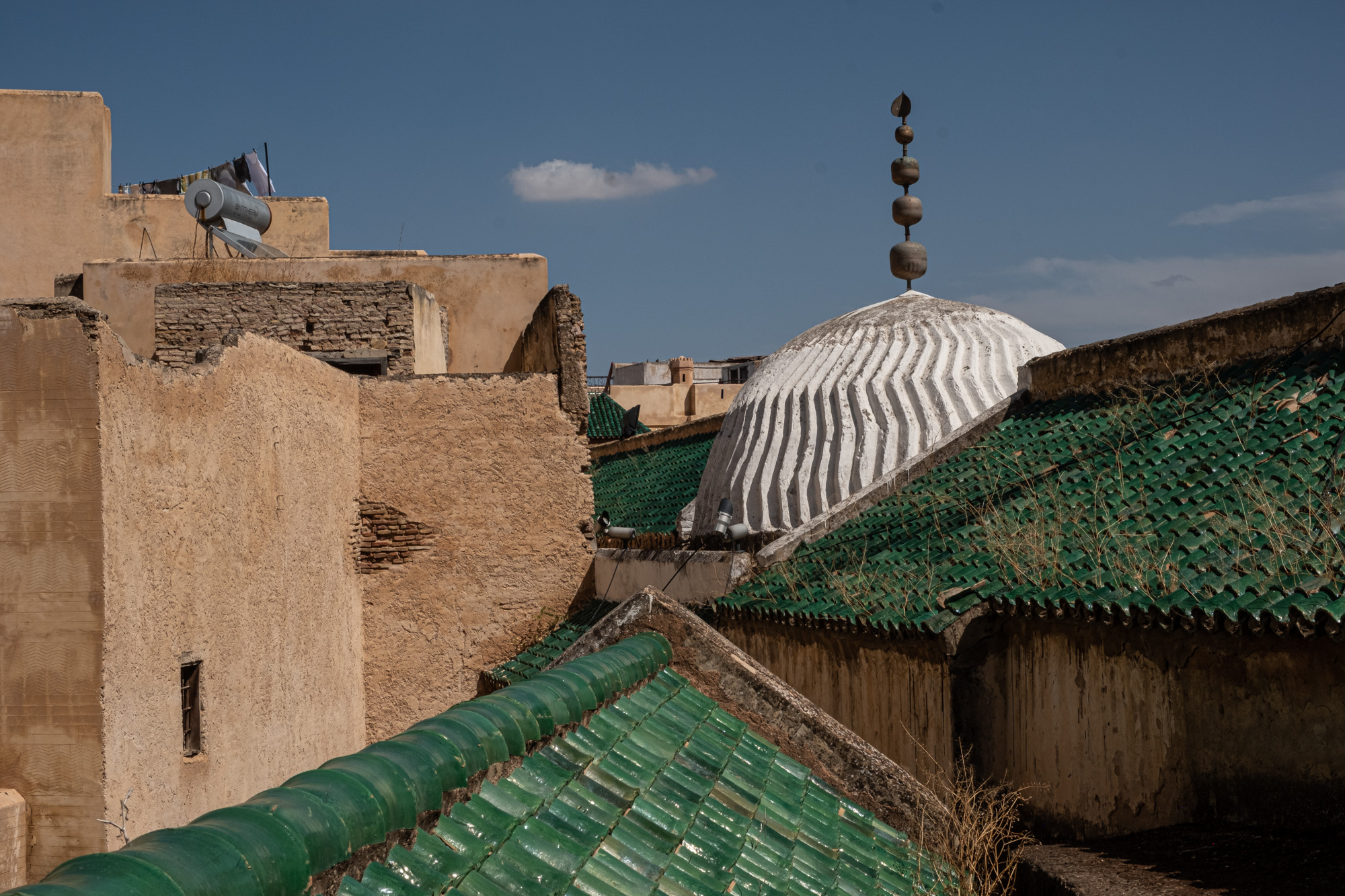 60_MARISA_SAMPIETRI 01