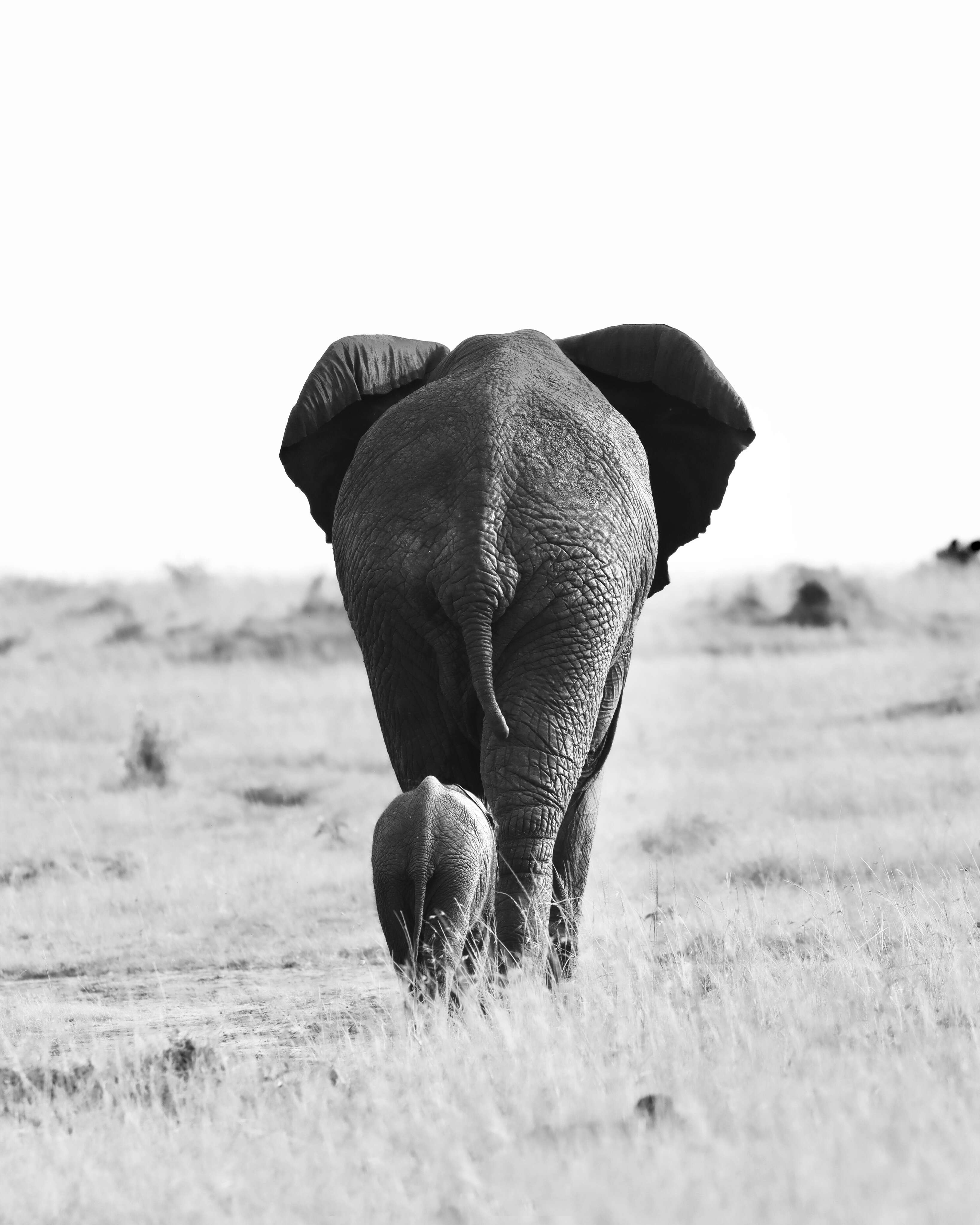 98_MICHELA_NIKITA_MADAN_1