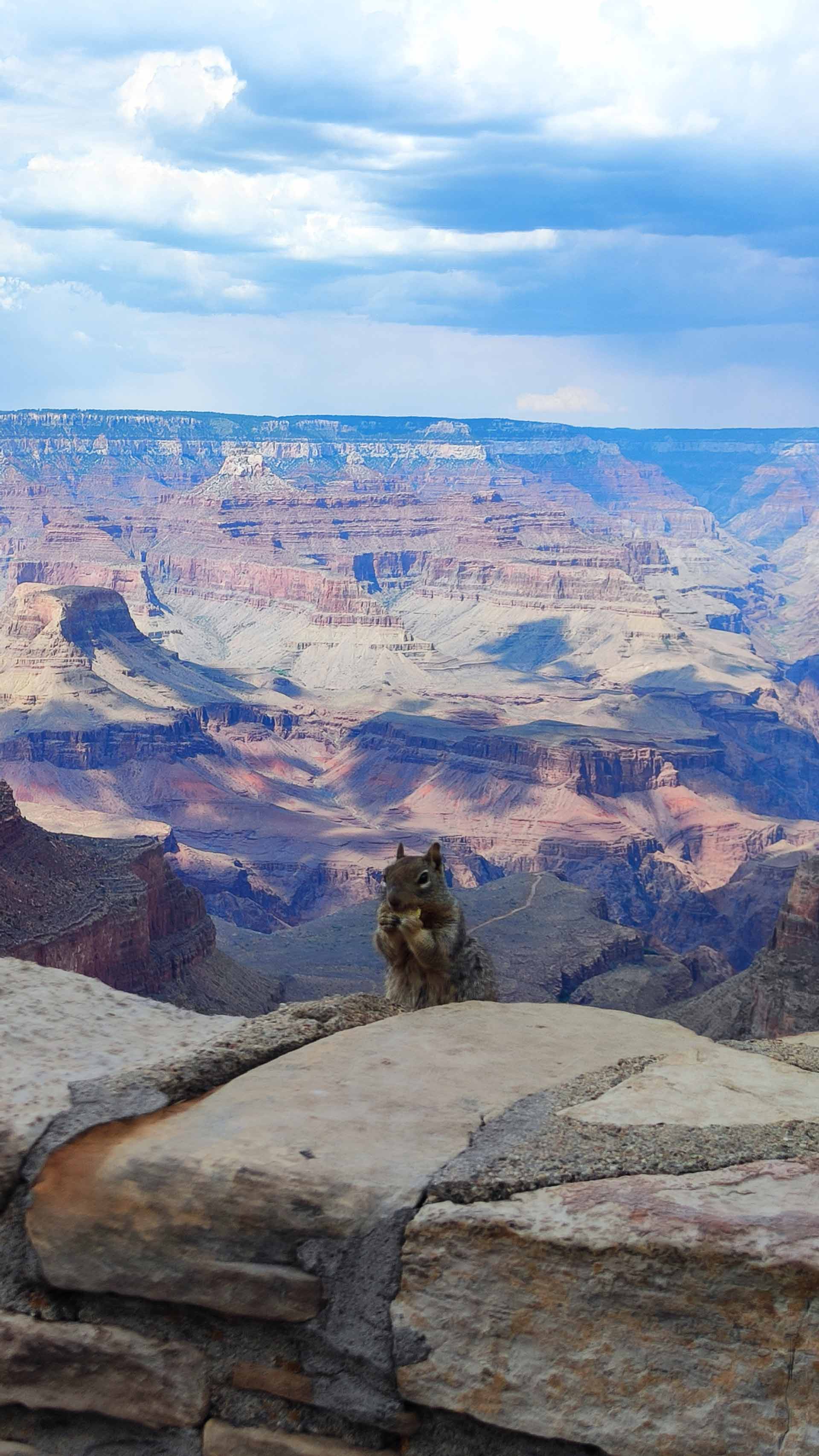 associazione-alaus-lodi