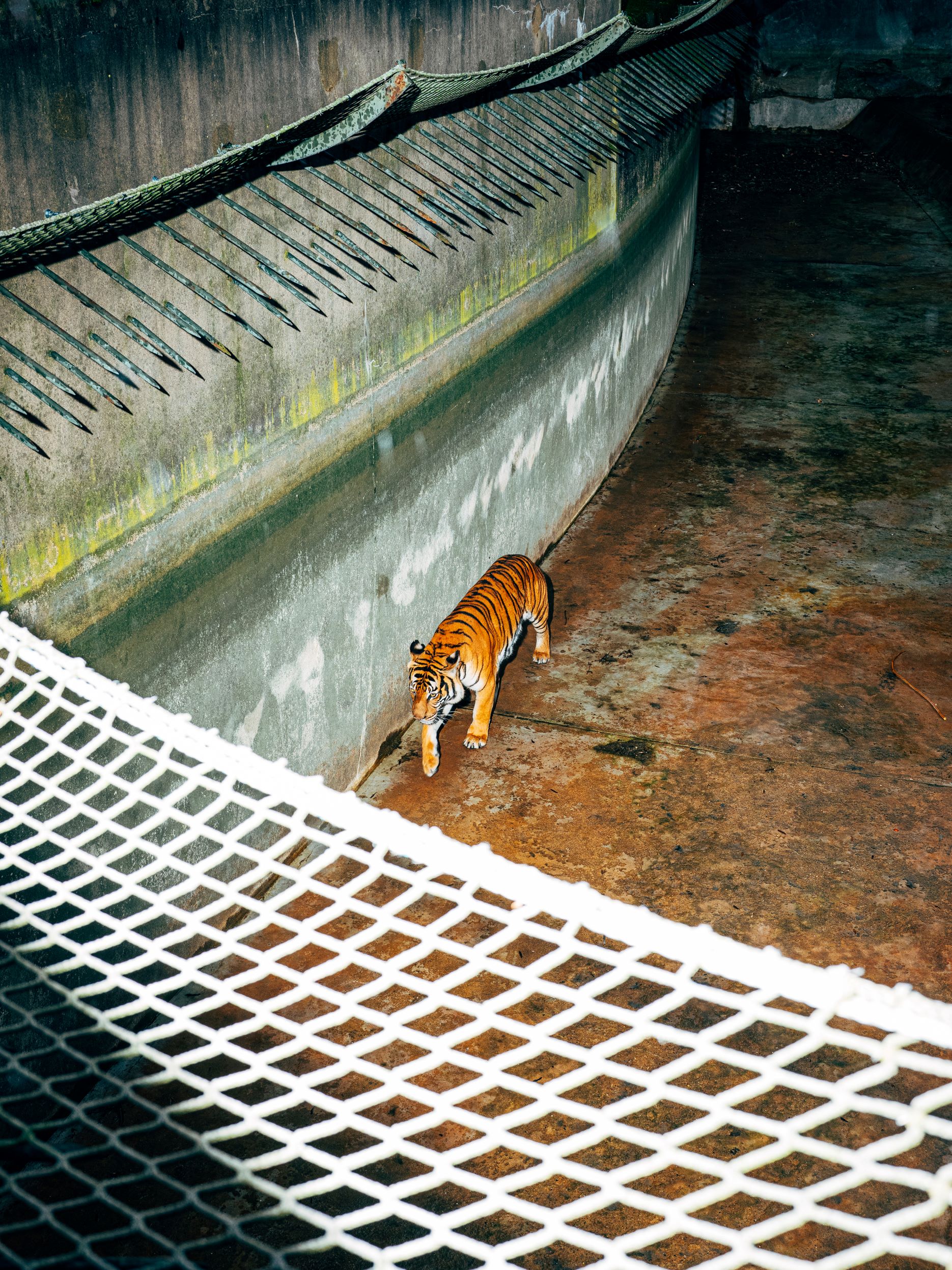 ©Nikita Teryoshin_Life Sentence_07