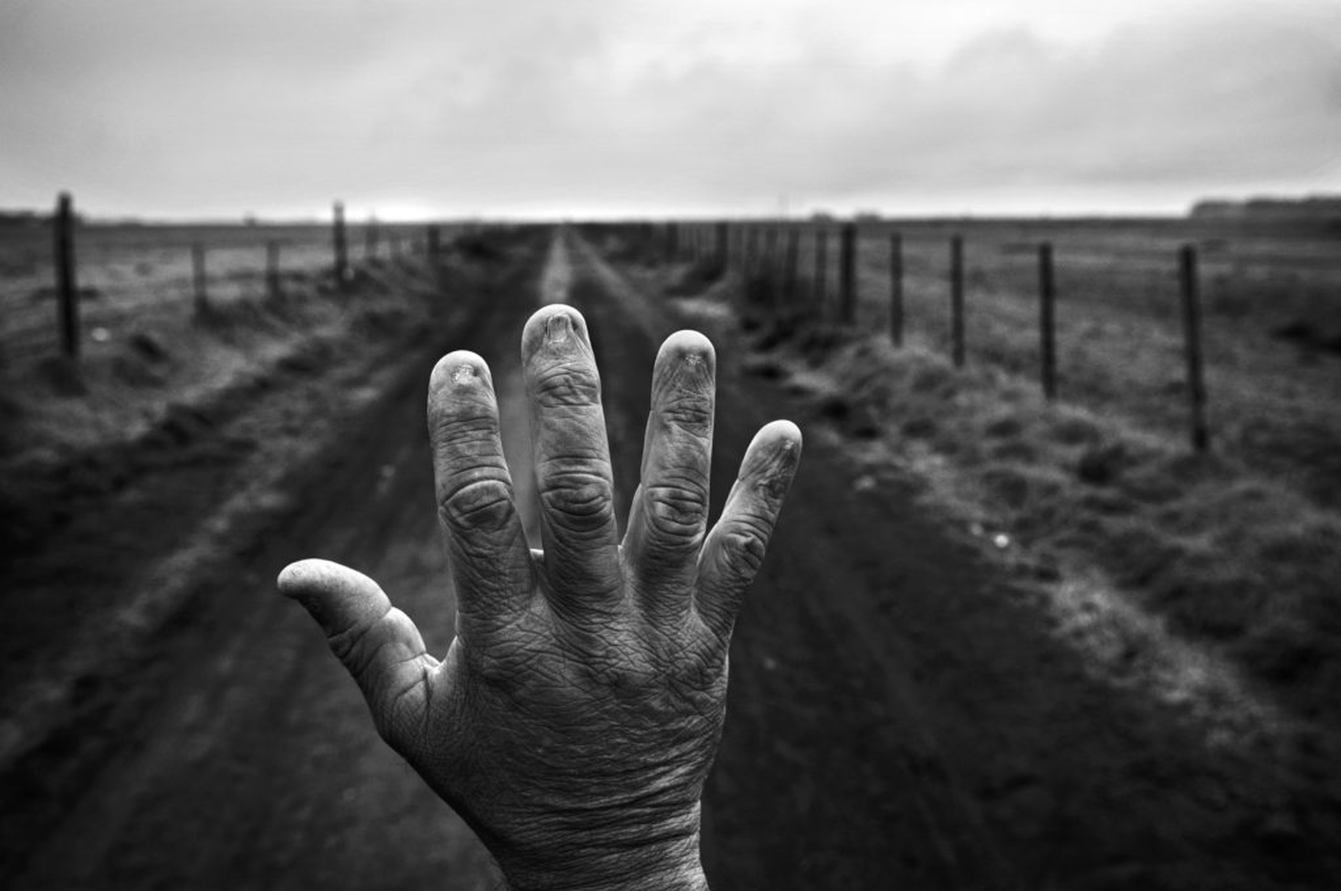 El costo humano de los agrotóxicos - Il costo umano dei pesticidi