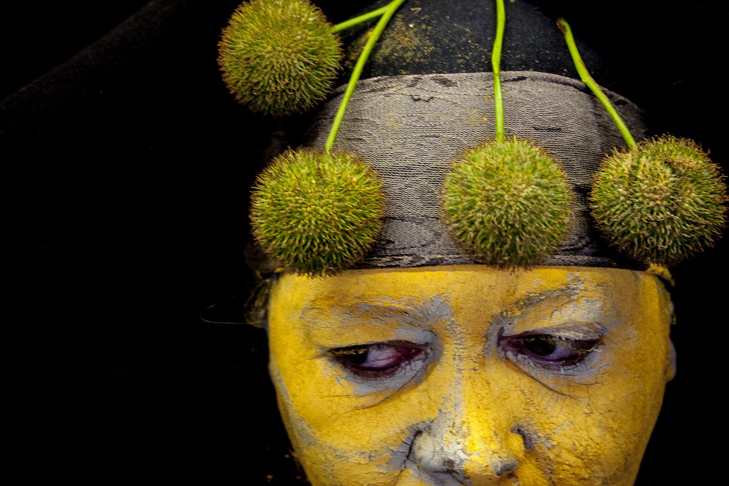 Armando Tinnirello - Shaman Series